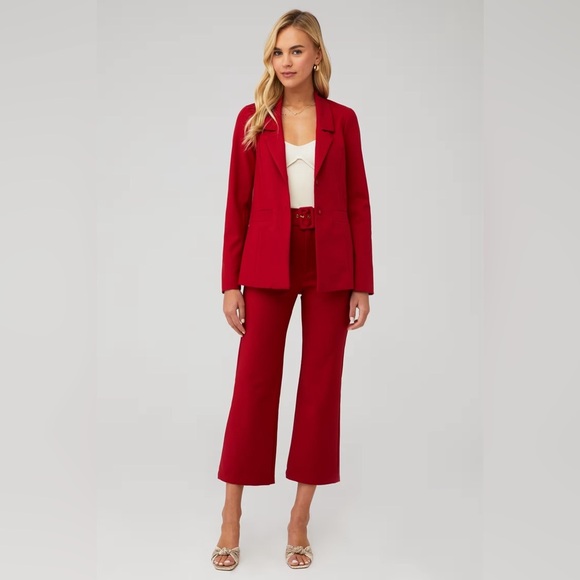 Show Me Your MuMu Major Single-Breasted Blazer in Red Suiting $188 size M - Picture 15 of 15